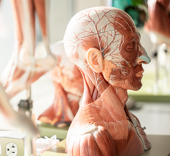 pilules et seringues indiquant une consommation de drogues